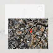 herfst briefkaart (Voorkant / Achterkant)