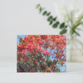 Herfst... Briefkaart (Staand voorkant)