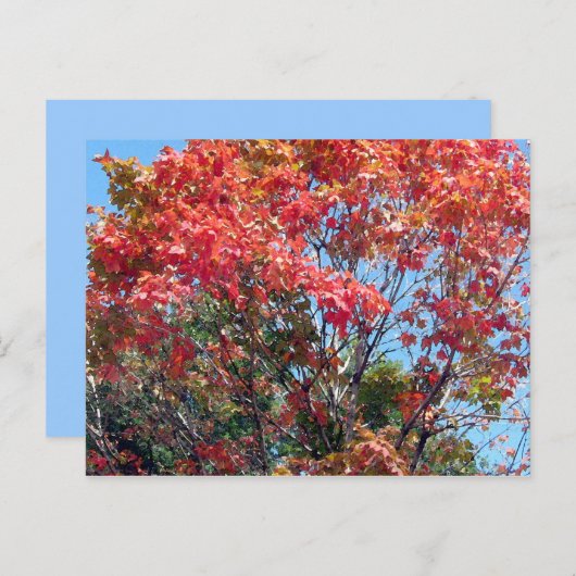 Herfst... Briefkaart (Voorkant / Achterkant)