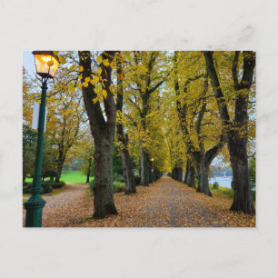 Herfst Briefkaart