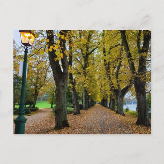 Herfst Briefkaart (Voorkant)