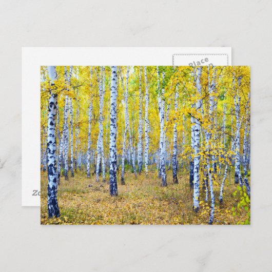 herfst briefkaart (Voorkant / Achterkant)