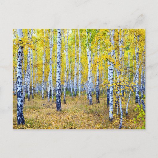 herfst briefkaart (Voorkant)