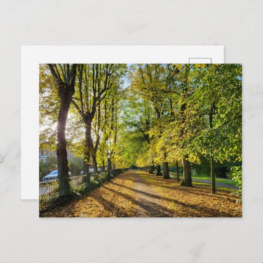 herfst briefkaart (Voorkant / Achterkant)