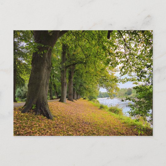herfst briefkaart (Voorkant)