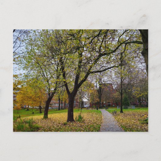 herfst briefkaart (Voorkant)