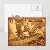  Herfst  Briefkaart Indische Korn (Voorkant / Achterkant)