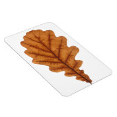 Herfst bruin eikenblad magneet (Rechterzijde)