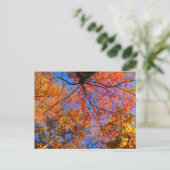 Herfst Canopy Briefkaart (Staand voorkant)
