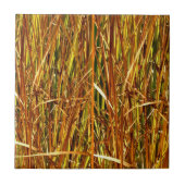 Herfst Cattails Tegeltje (Voorkant)