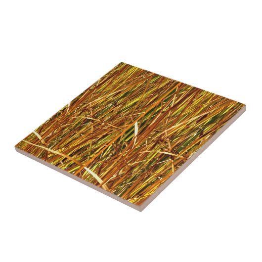 Herfst Cattails Tegeltje (Zijkant)