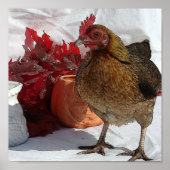 Herfst Chicken Poster (Voorkant)