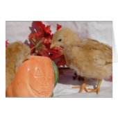 Herfst Chicks (Voorkant Horizontaal)