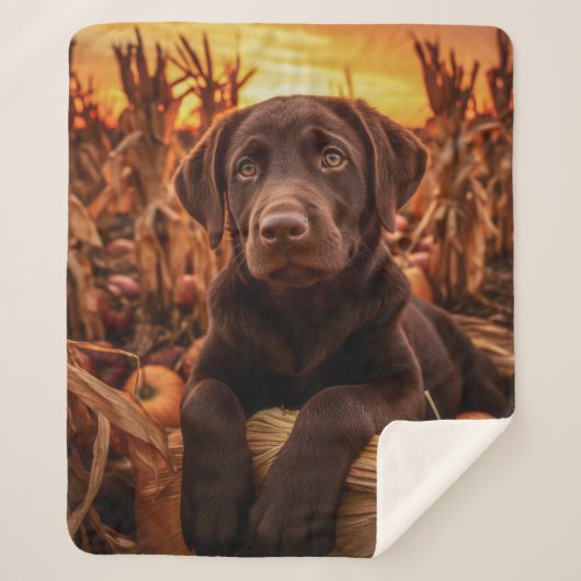 Herfst Chocolade Lab Pup Sherpa Deken (Voorkant)