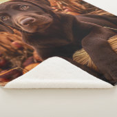 Herfst Chocolade Lab Pup Sherpa Deken (3/4)
