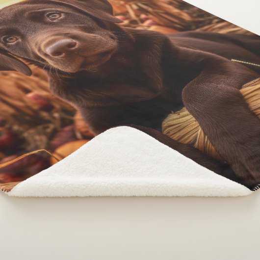 Herfst Chocolade Lab Pup Sherpa Deken (3/4)