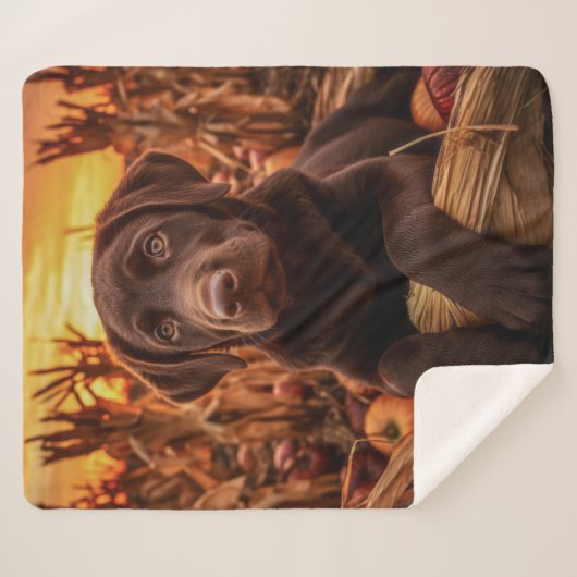 Herfst Chocolade Lab Pup Sherpa Deken (Voorkant (horizontaal))