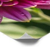 Herfst Chrysanthemum Graphic Poster (Hoek)