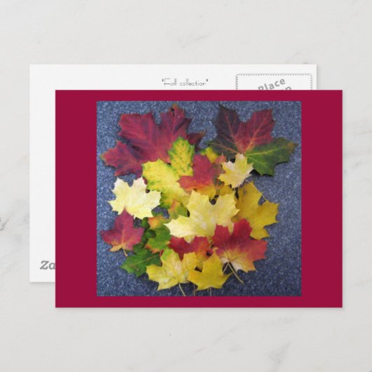 Herfst collectie briefkaart (Voorkant / Achterkant)