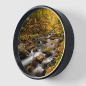 Herfst Color Jefferson Brook | Witte bergen (Hoek)