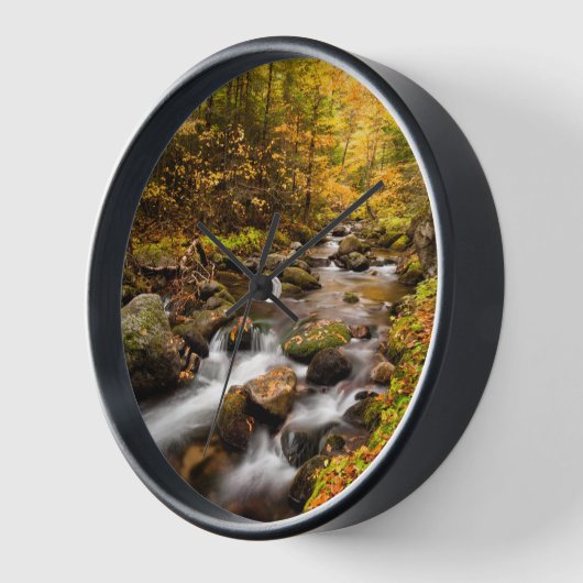 Herfst Color Jefferson Brook | Witte bergen (Hoek)