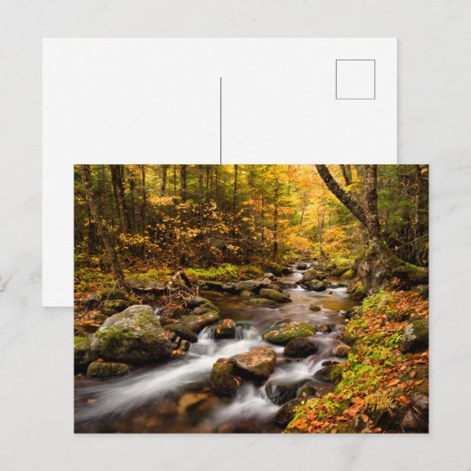 Herfst Color Jefferson Brook | Witte bergen Briefkaart (Voorkant / Achterkant)