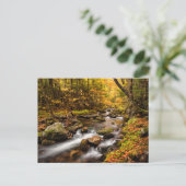 Herfst Color Jefferson Brook | Witte bergen Briefkaart (Staand voorkant)
