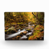 Herfst Color Jefferson Brook | Witte bergen Fotoblokken (Voorkant)
