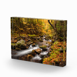Herfst Color Jefferson Brook Witte bergen Fotoblokken