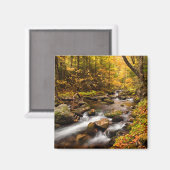 Herfst Color Jefferson Brook | Witte bergen Magneet (Voorkant / Achterkant)