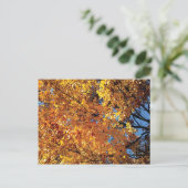 Herfst Color Racine Briefkaart (Staand voorkant)