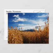 Herfst Corn Fields Briefkaart (Voorkant / Achterkant)