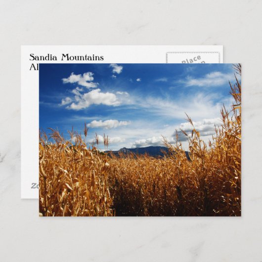 Herfst Corn Fields Briefkaart (Voorkant / Achterkant)