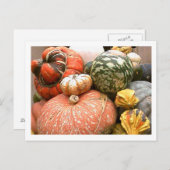 Herfst Cornicopia Briefkaart (Voorkant / Achterkant)