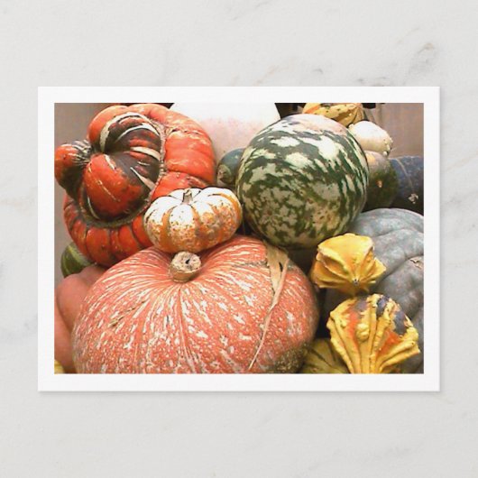 Herfst Cornicopia Briefkaart (Voorkant)