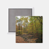 Herfst Creek bij Laurel Hill State Park Magneet (Voorkant / Achterkant)