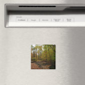 Herfst Creek bij Laurel Hill State Park Magneet (Insitu (Vaatwasser))