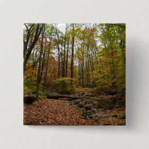 Herfst Creek bij Laurel Hill State Park Vierkante Button 5,1 Cm