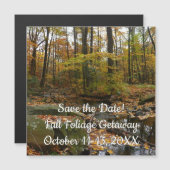 Herfst Creek met reflectie op Laurel Hill Park (Voorkant / Achterkant)