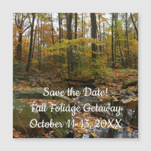 Herfst Creek met reflectie op Laurel Hill Park