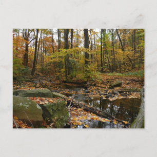 Herfst Creek met reflectie op Laurel Hill Park Briefkaart