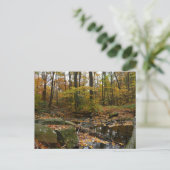 Herfst Creek met reflectie op Laurel Hill Park Briefkaart (Staand voorkant)