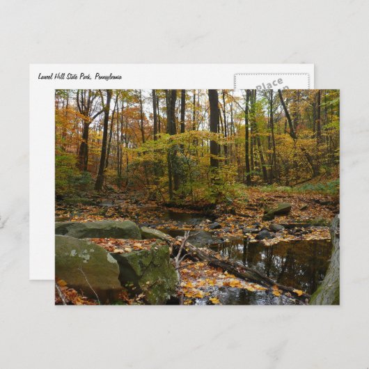Herfst Creek met reflectie op Laurel Hill Park Briefkaart (Voorkant / Achterkant)