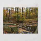 Herfst Creek met reflectie op Laurel Hill Park Briefkaart (Voorkant)