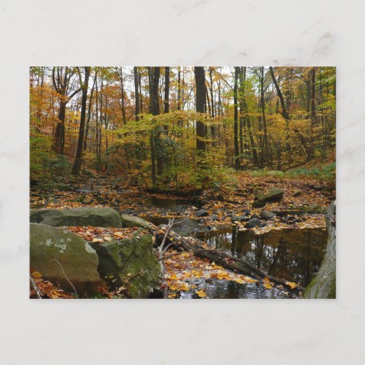 Herfst Creek met reflectie op Laurel Hill Park Briefkaart (Voorkant)