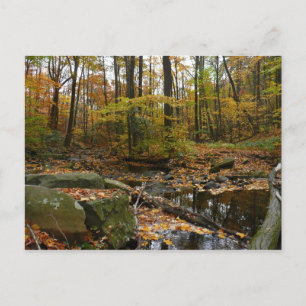 Herfst Creek met reflectie op Laurel Hill Park Briefkaart