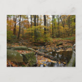 Herfst Creek met reflectie op Laurel Hill Park Briefkaart (Voorkant)
