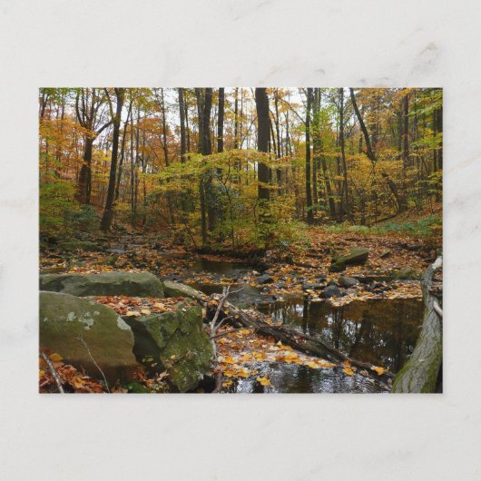 Herfst Creek met reflectie op Laurel Hill Park Briefkaart (Voorkant)
