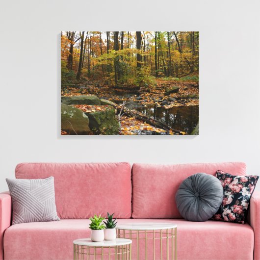 Herfst Creek met reflectie op Laurel Hill Park Canvas Afdruk (Insitu (Woonkamer))