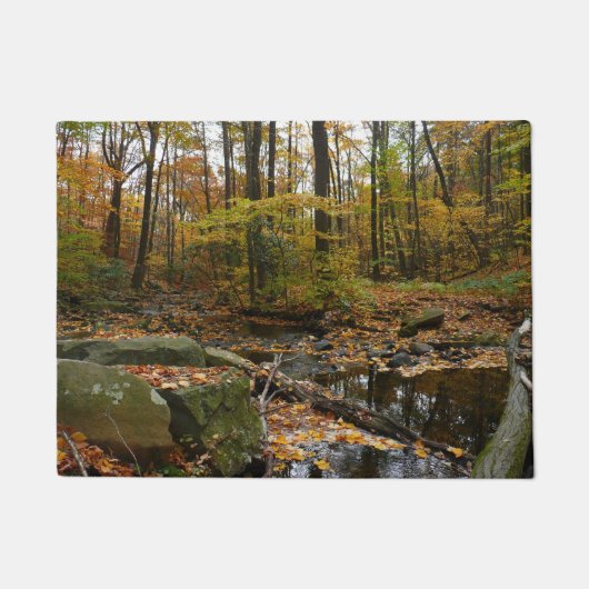 Herfst Creek met reflectie op Laurel Hill Park Deurmat (Voorkant)